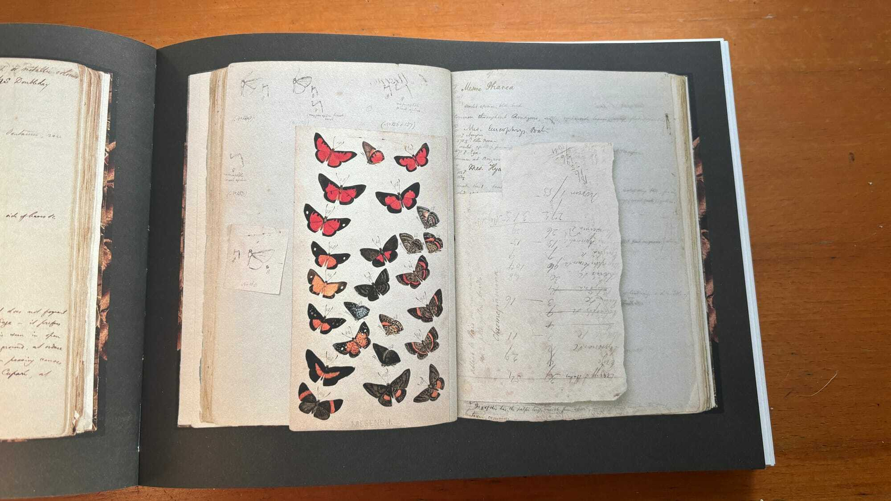 Paper Trails eindejaarsoverzicht